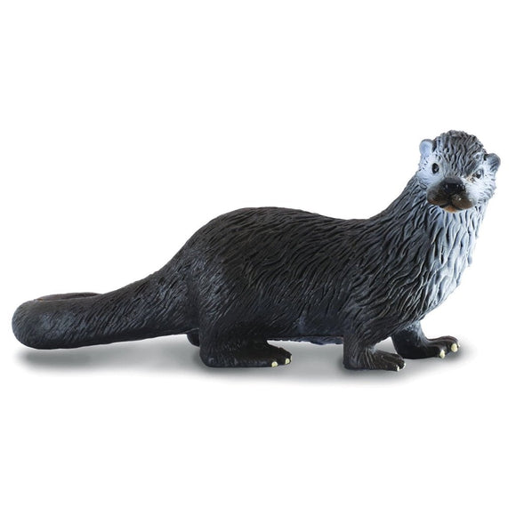 CollectA Common Otter-88053-Animal Kingdoms Toy Store