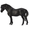 CollectA Dartmoor Pony Black-88603-Animal Kingdoms Toy Store