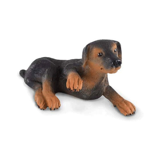 CollectA Doberman Pinscher Puppy-88087-Animal Kingdoms Toy Store