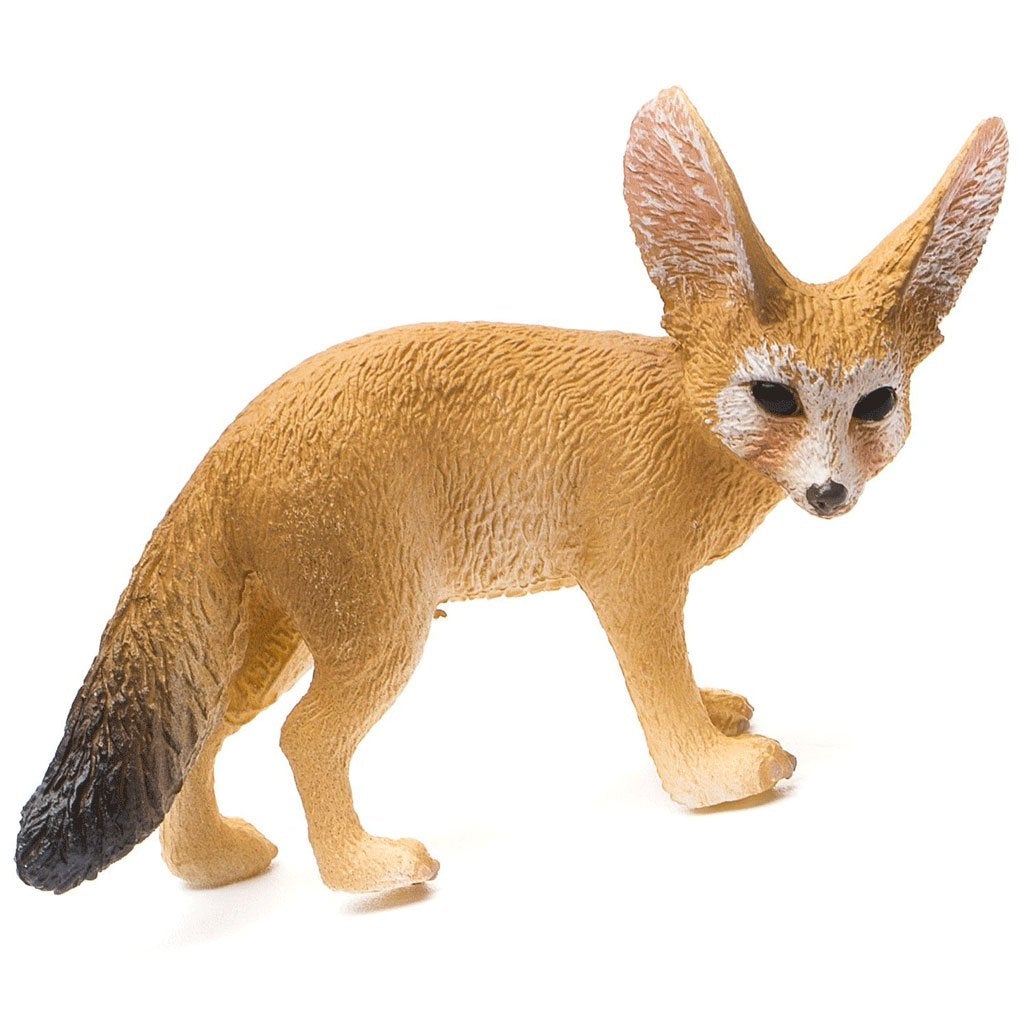 CollectA Fennec Fox – Animal Kingdoms Toy Store