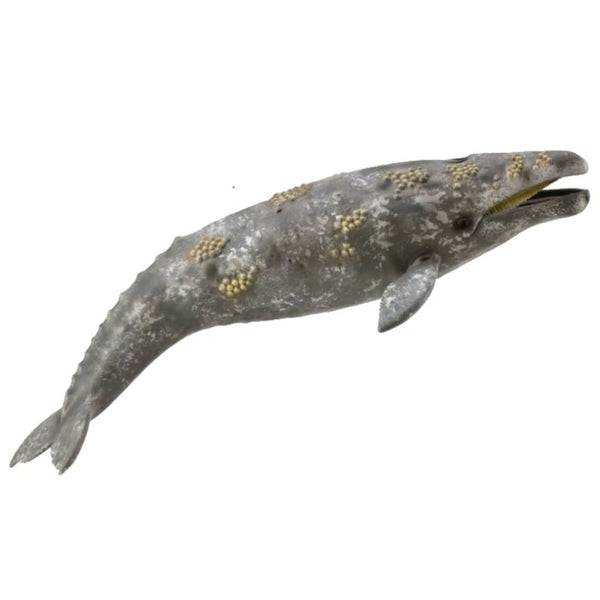 CollectA Grey Whale-88836-Animal Kingdoms Toy Store
