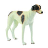CollectA Greyhound-88187-Animal Kingdoms Toy Store