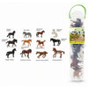 CollectA Mini Horse Tube 12 Piece-89A1109-Animal Kingdoms Toy Store