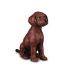 CollectA Irish Red Setter Puppy-88069-Animal Kingdoms Toy Store