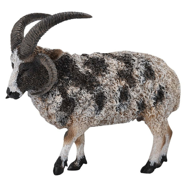 CollectA Jacob Sheep-88728-Animal Kingdoms Toy Store