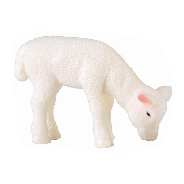 CollectA Lamb grazing-88393-Animal Kingdoms Toy Store