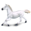 CollectA Lipizzaner Mare White-88229-Animal Kingdoms Toy Store