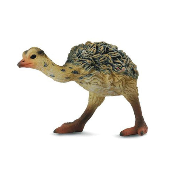 CollectA Ostrich Chick-88461-Animal Kingdoms Toy Store