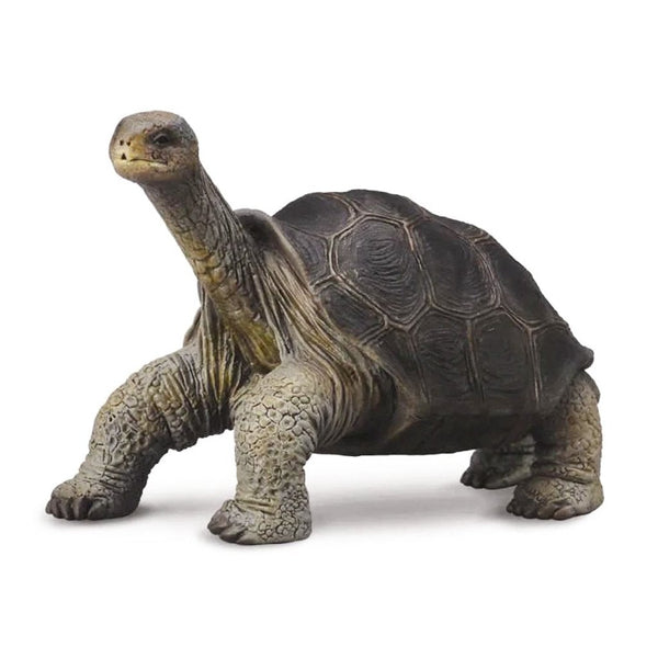CollectA Pinta Island Tortoise-88619-Animal Kingdoms Toy Store