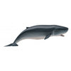 CollectA Pygmy Sperm Whale-88653-Animal Kingdoms Toy Store