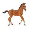 CollectA Quarter Horse Foal Bay-88586-Animal Kingdoms Toy Store