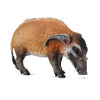 CollectA Red River Hog-88554-Animal Kingdoms Toy Store