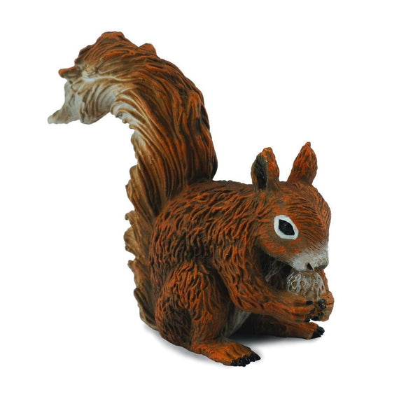 CollectA Red Squirrel Eating-88467-Animal Kingdoms Toy Store