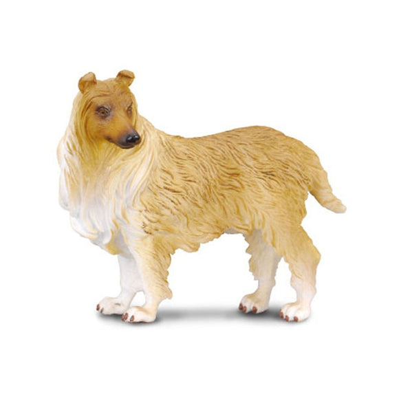 CollectA Rough Haired Collie-88191-Animal Kingdoms Toy Store