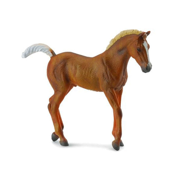 CollectA Tennessee Walking Foal Chestnut-88451-Animal Kingdoms Toy Store