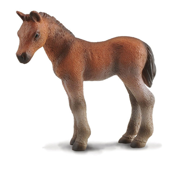 CollectA Thoroughbred Foal Standing-88244-Animal Kingdoms Toy Store