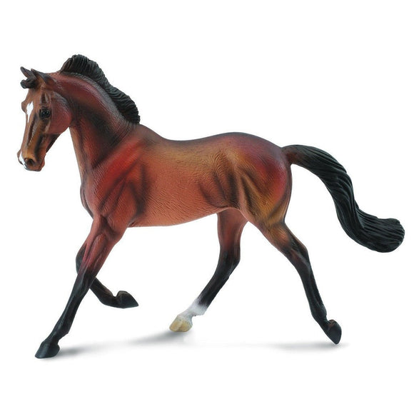 CollectA Thoroughbred Mare Bay-88477-Animal Kingdoms Toy Store