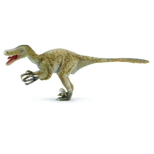 CollectA Velociraptor Deluxe Scale 1:40-88407-Animal Kingdoms Toy Store