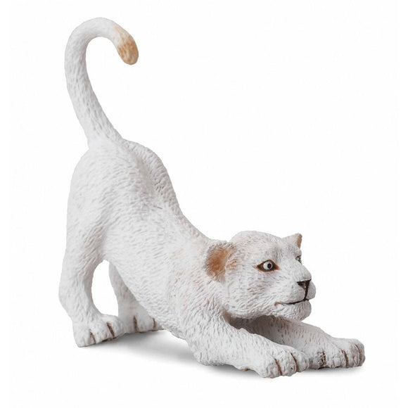 CollectA White Lion Cub Stretching-88550-Animal Kingdoms Toy Store