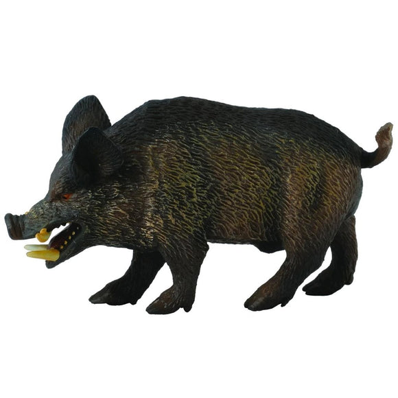 CollectA Wild Boar-88363-Animal Kingdoms Toy Store