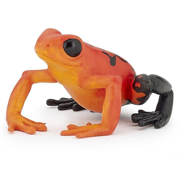 Papo Equatorial Frog Red-50193-Animal Kingdoms Toy Store