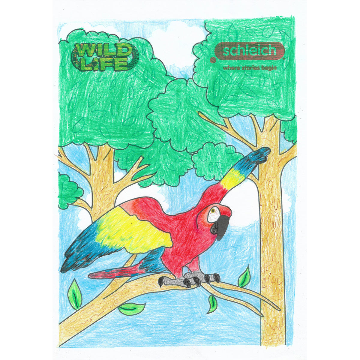 Colouring Competition 2022