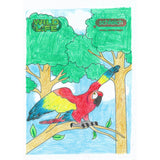 Colouring Competition 2022