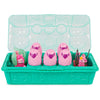Hatchimals CollEGGtibles Family Carton