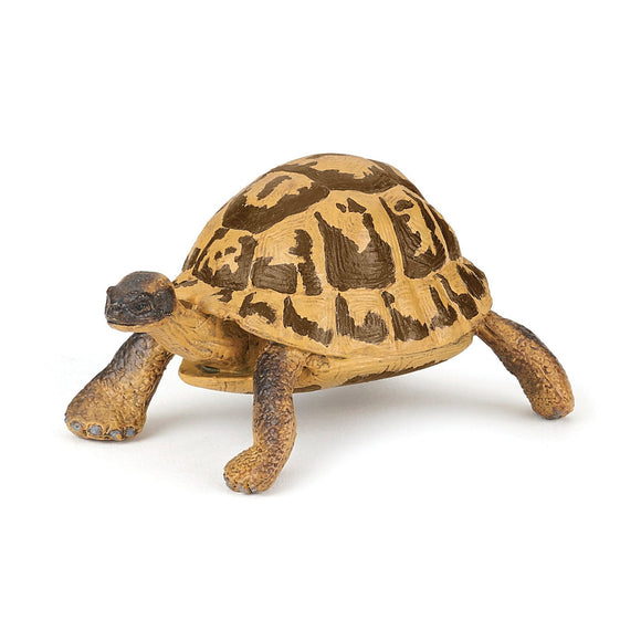 Papo Hermann's Tortoise-50264-Animal Kingdoms Toy Store