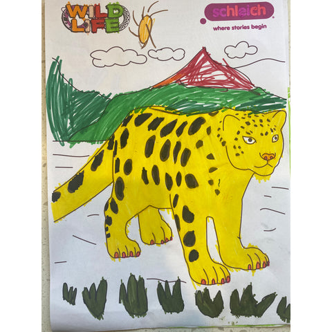 Colouring Competition 2022