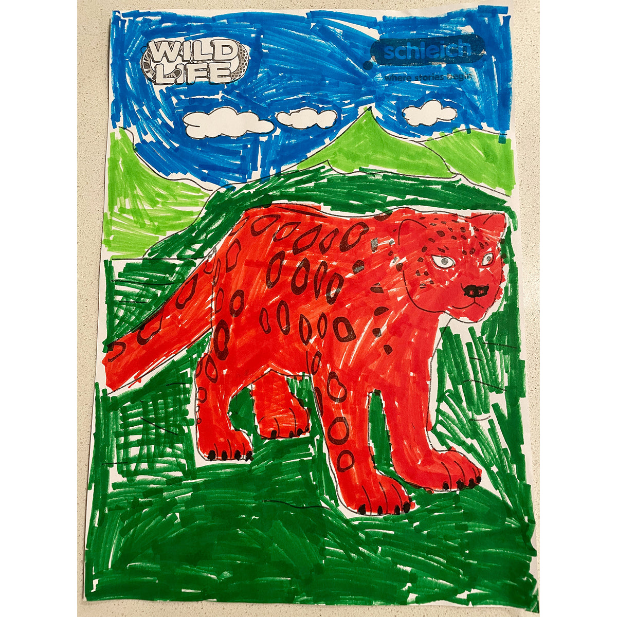 Colouring Competition 2022
