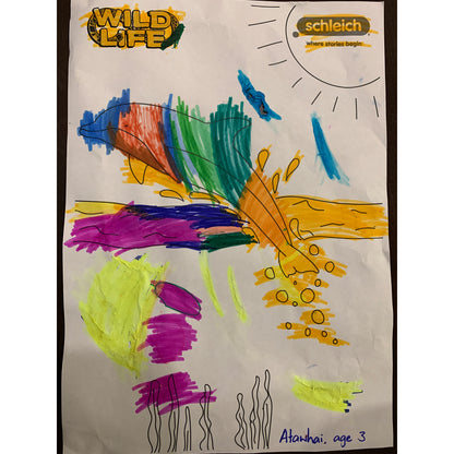 Colouring Competition 2022