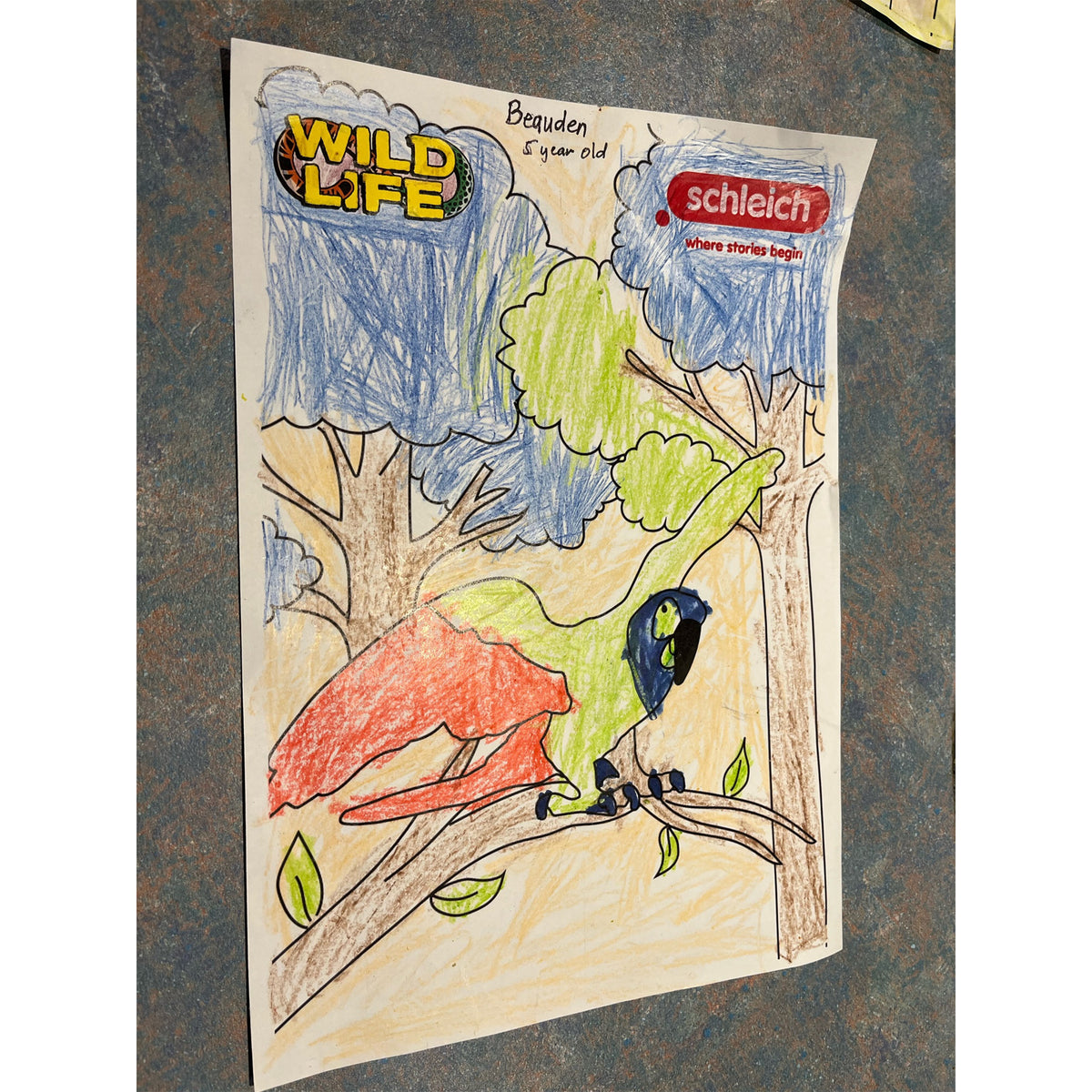 Colouring Competition 2022