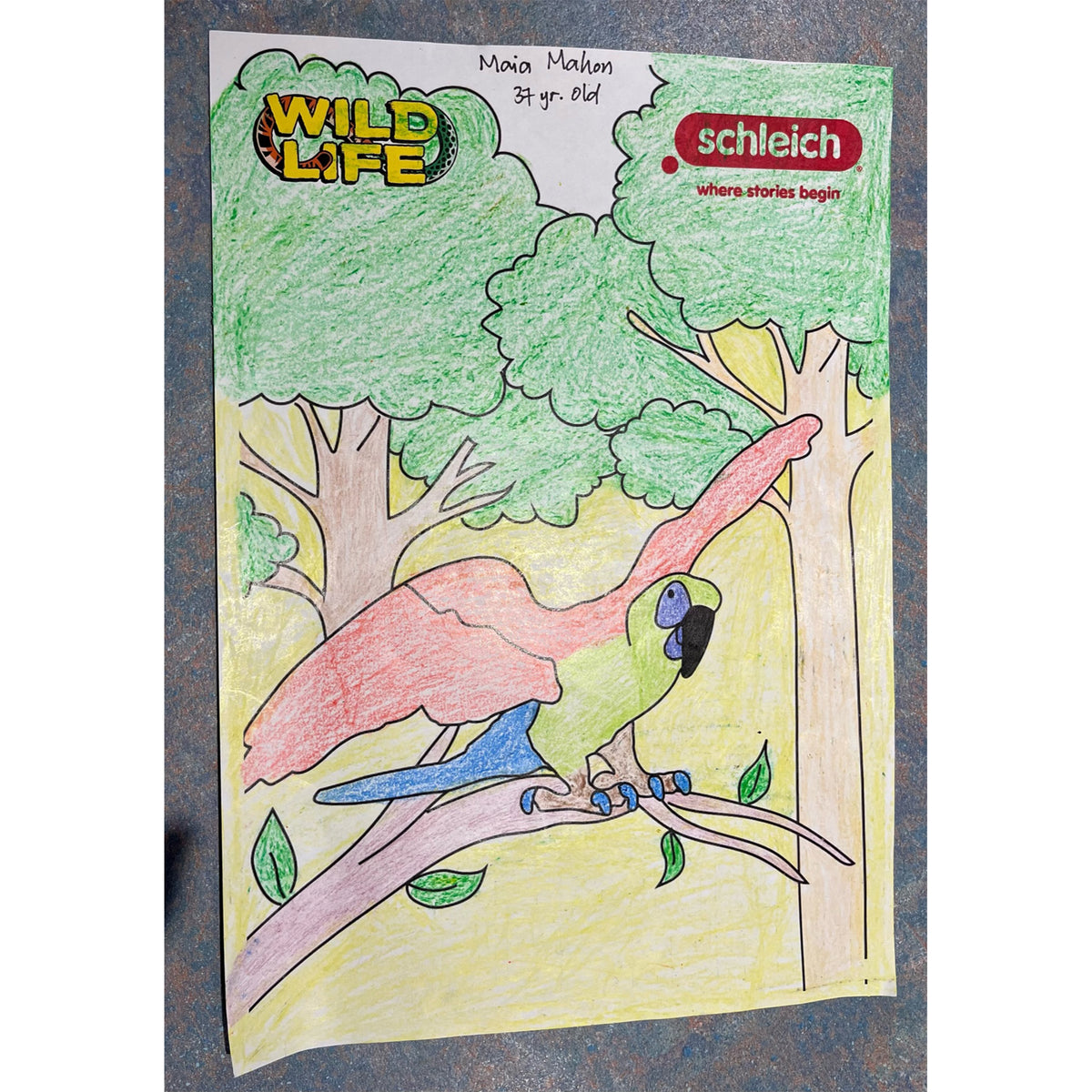 Colouring Competition 2022