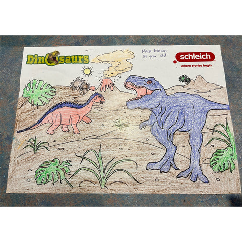 Colouring Competition 2022