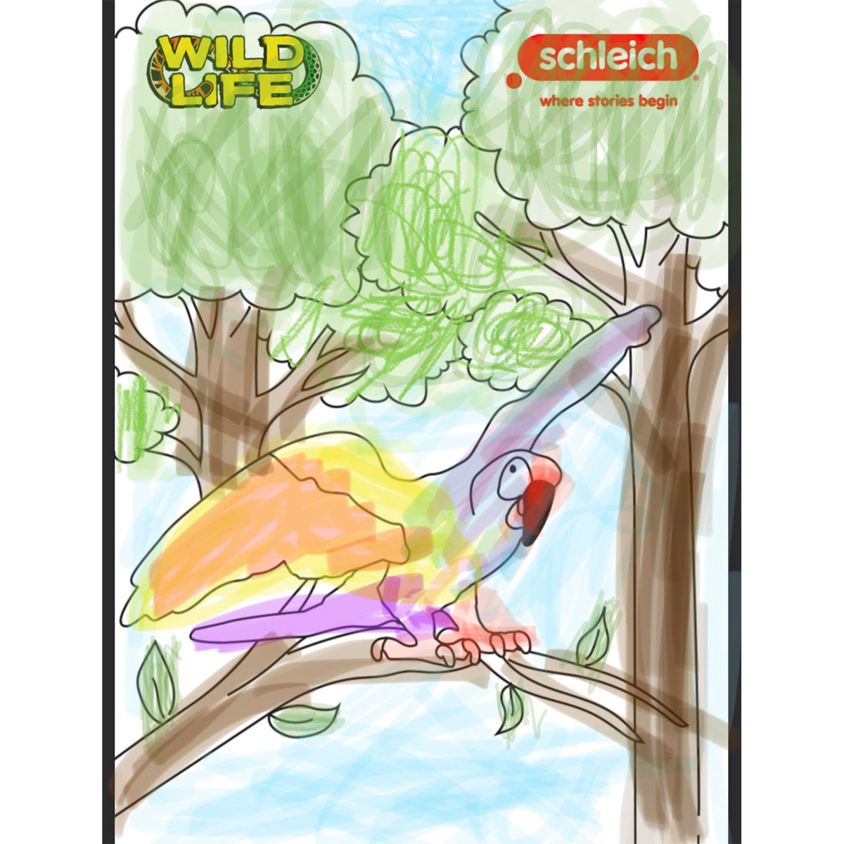 Colouring Competition 2022