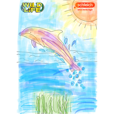 Colouring Competition 2022