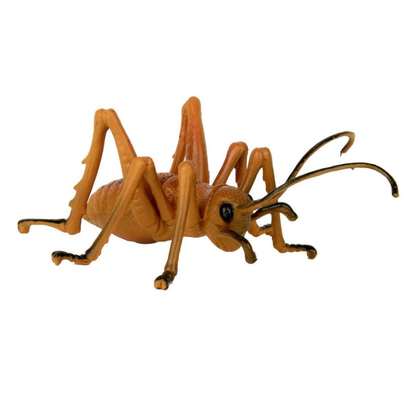 New Zealand Giant Weta-SS1902-Animal Kingdoms Toy Store