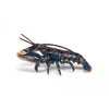 Papo Lobster-56052-Animal Kingdoms Toy Store