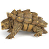 Papo Alligator Snapping Turtle-50179-Animal Kingdoms Toy Store
