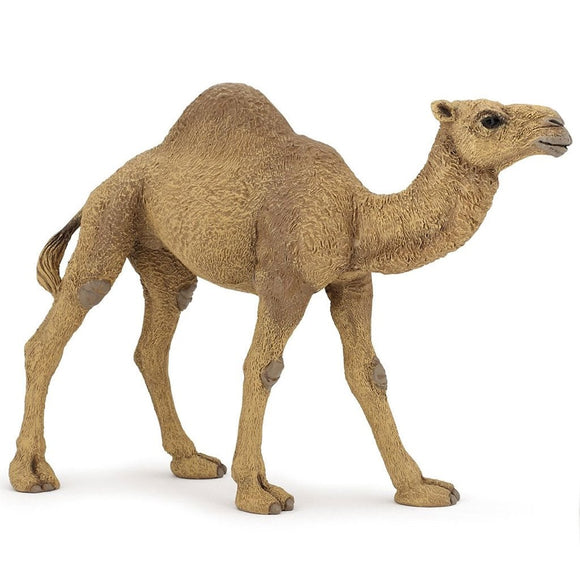 Papo Dromedary Camel-50151-Animal Kingdoms Toy Store