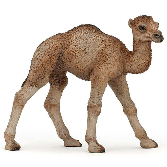 Papo Dromedary Camel Calf-50166-Animal Kingdoms Toy Store