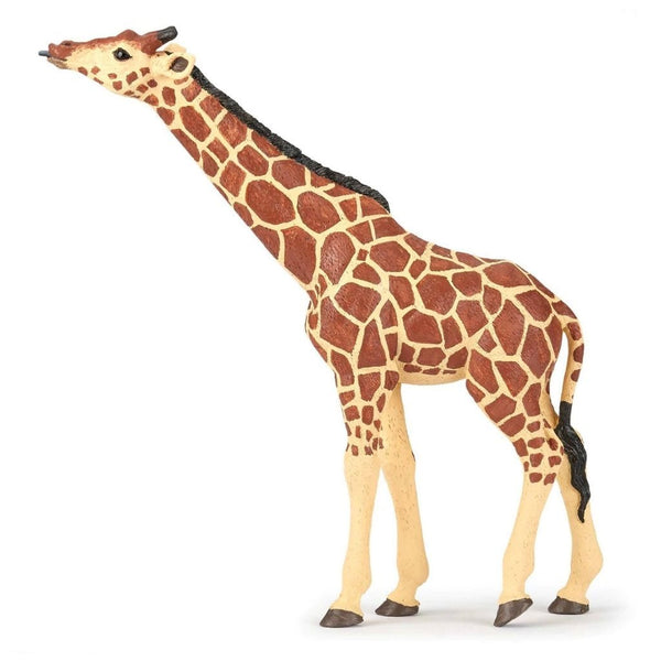 Papo Giraffe Head Raised 2018-50236-Animal Kingdoms Toy Store