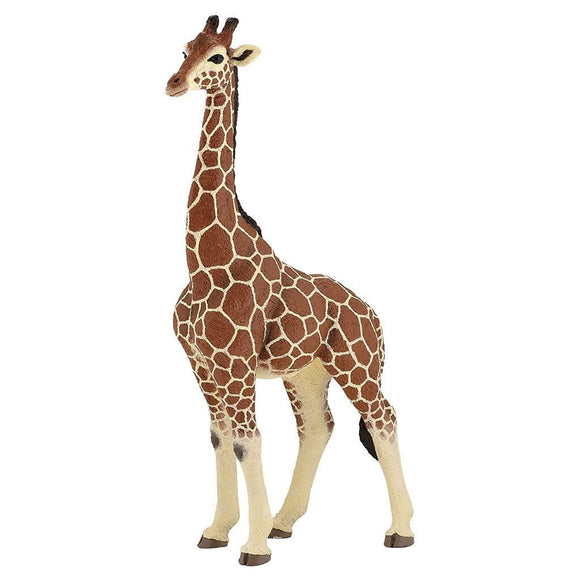 Papo Giraffe Male-50149-Animal Kingdoms Toy Store