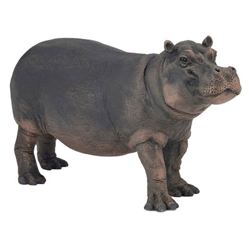 Papo Hippopotamus Cow-50155-Animal Kingdoms Toy Store