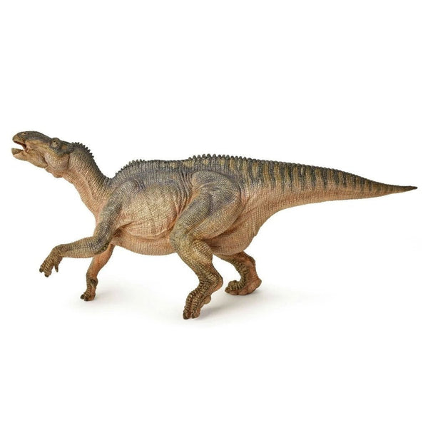 Papo Iguanodon-55071-Animal Kingdoms Toy Store