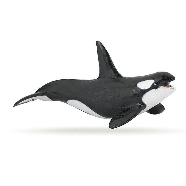 Papo Orca Killer Whale-56000-Animal Kingdoms Toy Store