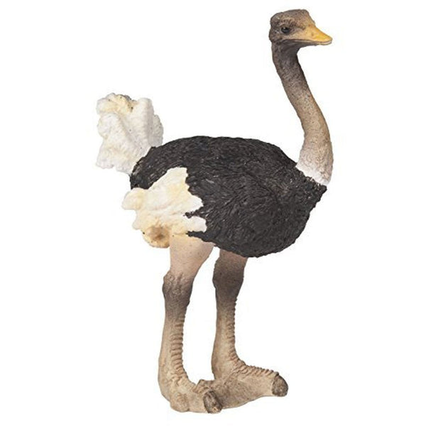Papo Ostrich-50073-Animal Kingdoms Toy Store