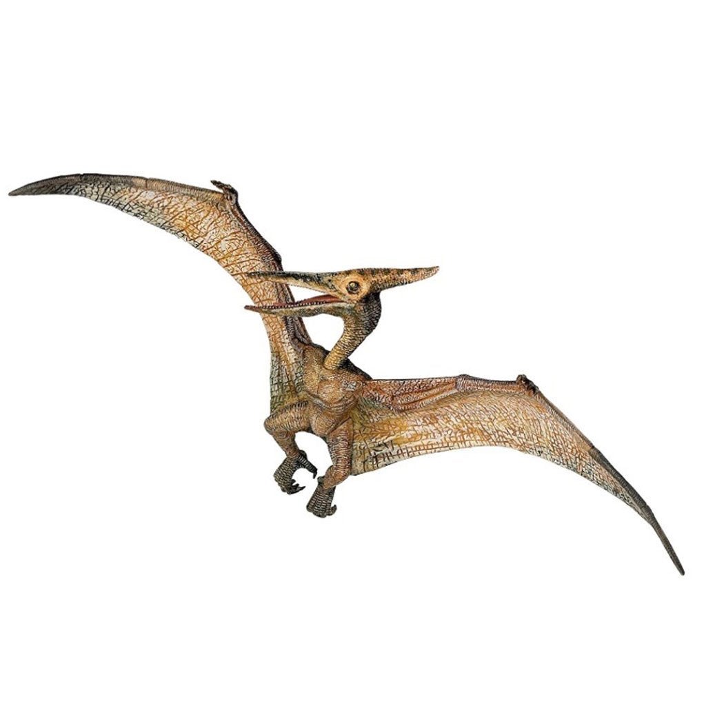 Papo Pteranodon-55006-Animal Kingdoms Toy Store