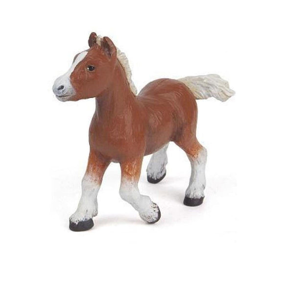 Papo Shetland Foal-51519-Animal Kingdoms Toy Store